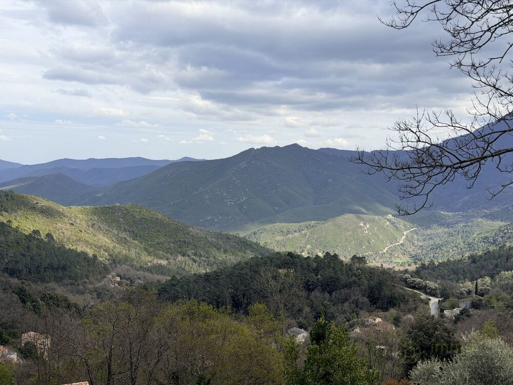 Vente Terrain Terrain agricole Venaco
