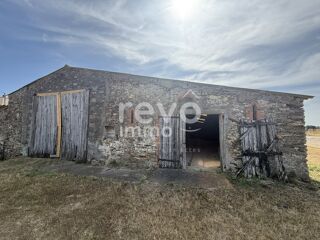  Maison � vendre 3 pi�ces 296 m� Vieillevigne