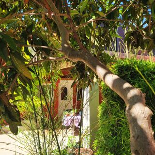  Villa � vendre 10 pi�ces 300 m�