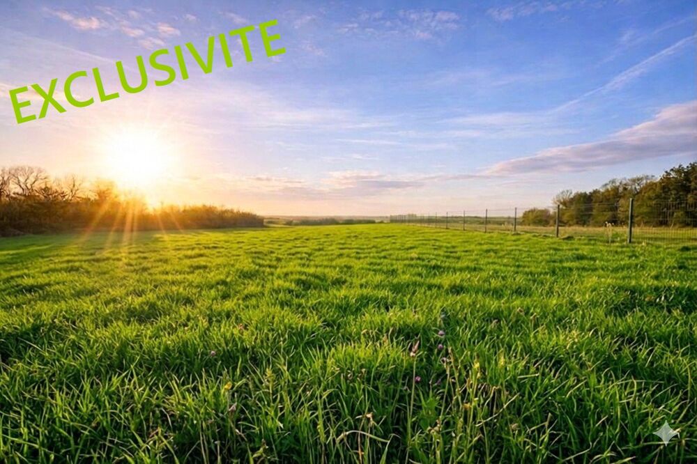 Vente Terrain Terrain Amponville