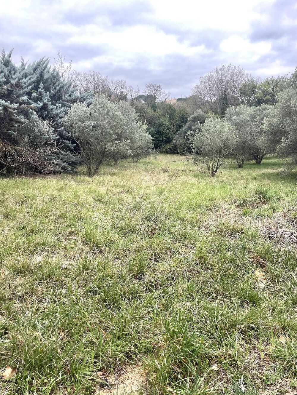 Vente Terrain Terrain constructible Clermont l'herault
