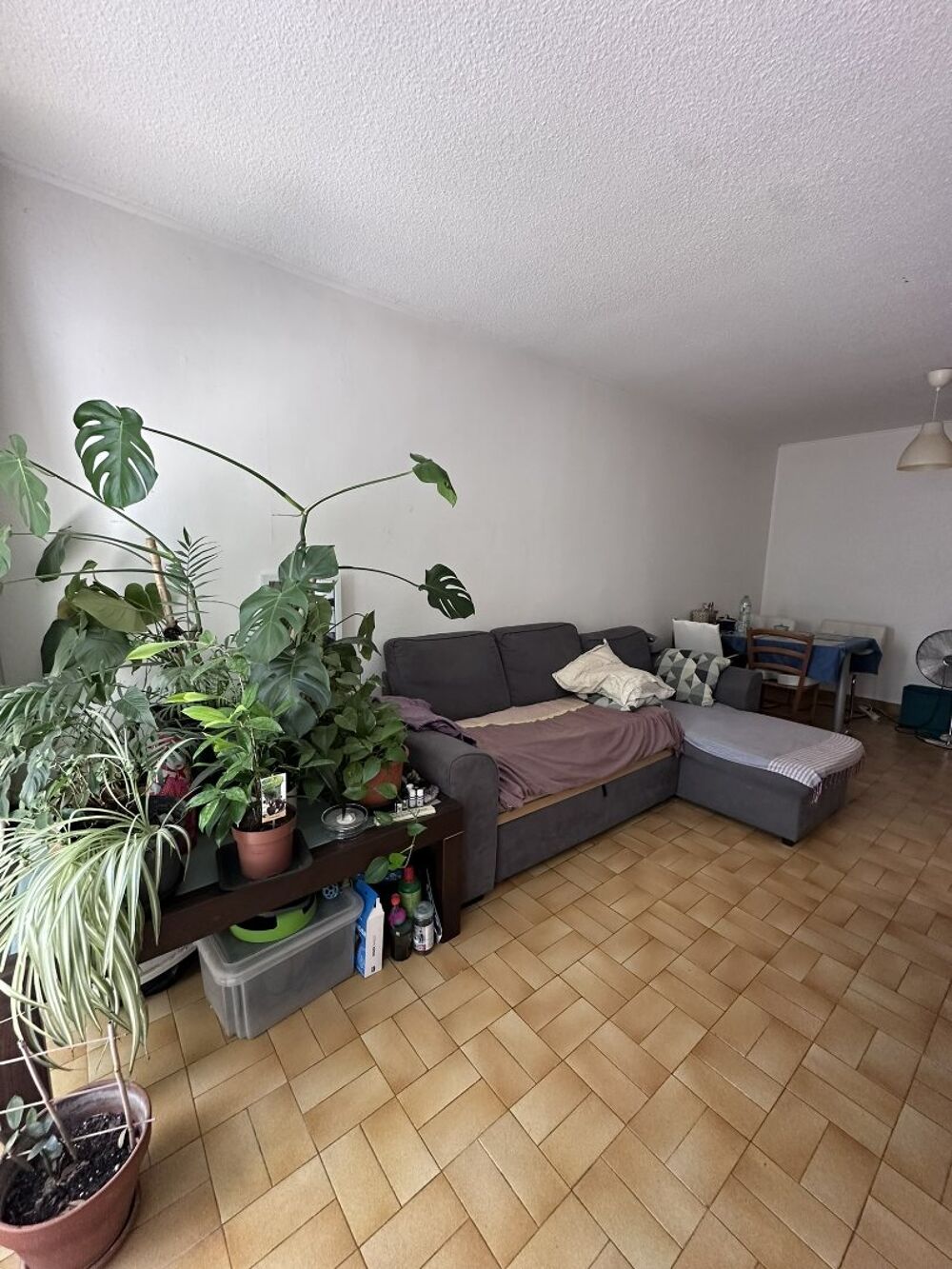 Vente Appartement Appartement Montpellier