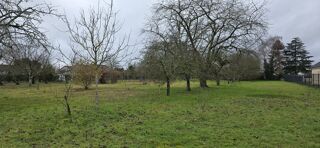  Terrain à vendre 3100 m²