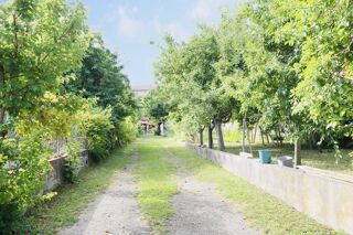  Maison � vendre 6 pi�ces 310 m�