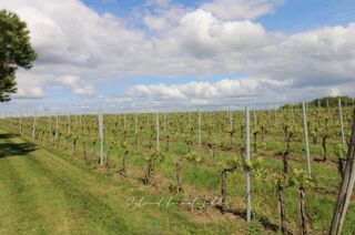  Maison � vendre 7 pi�ces 166 m�