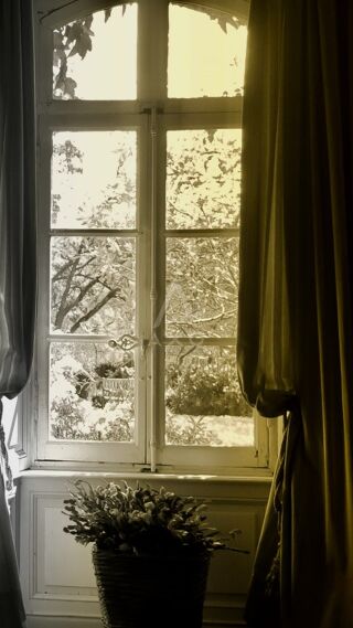  Villa � vendre 15 + pi�ces 600 m�