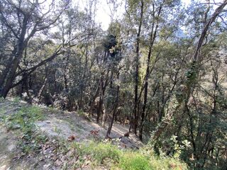  Terrain � vendre 2397 m�