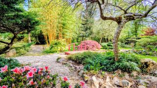  Villa � vendre 15 + pi�ces 535 m�