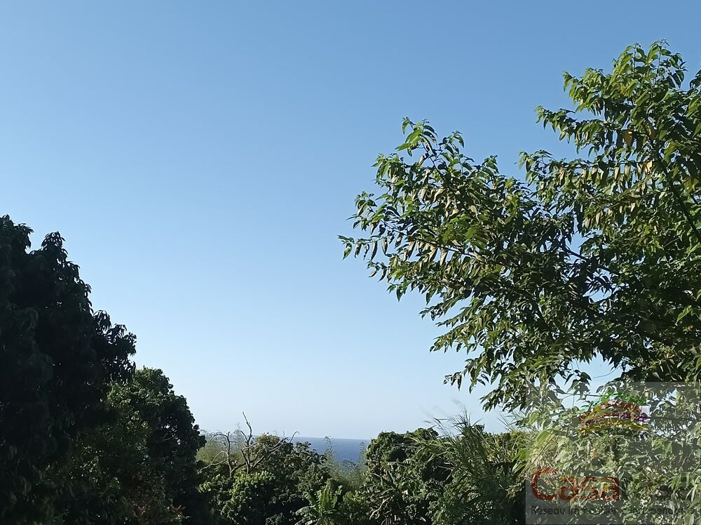 Vente Terrain Terrain Sainte rose