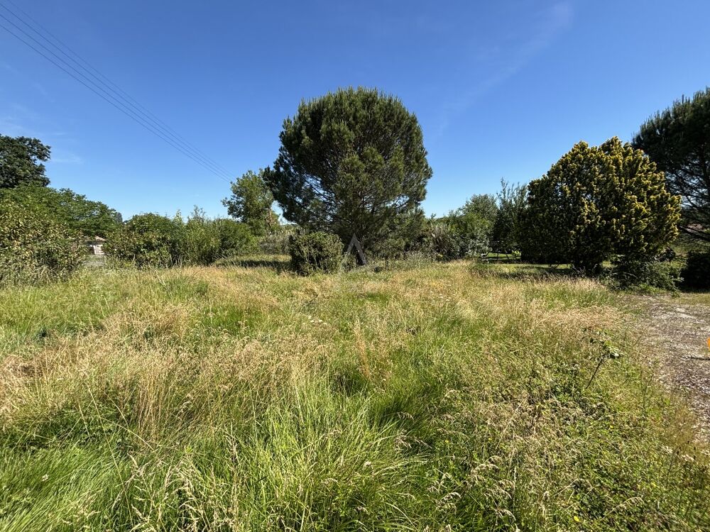 Vente Terrain Terrain constructible La magdelaine sur tarn