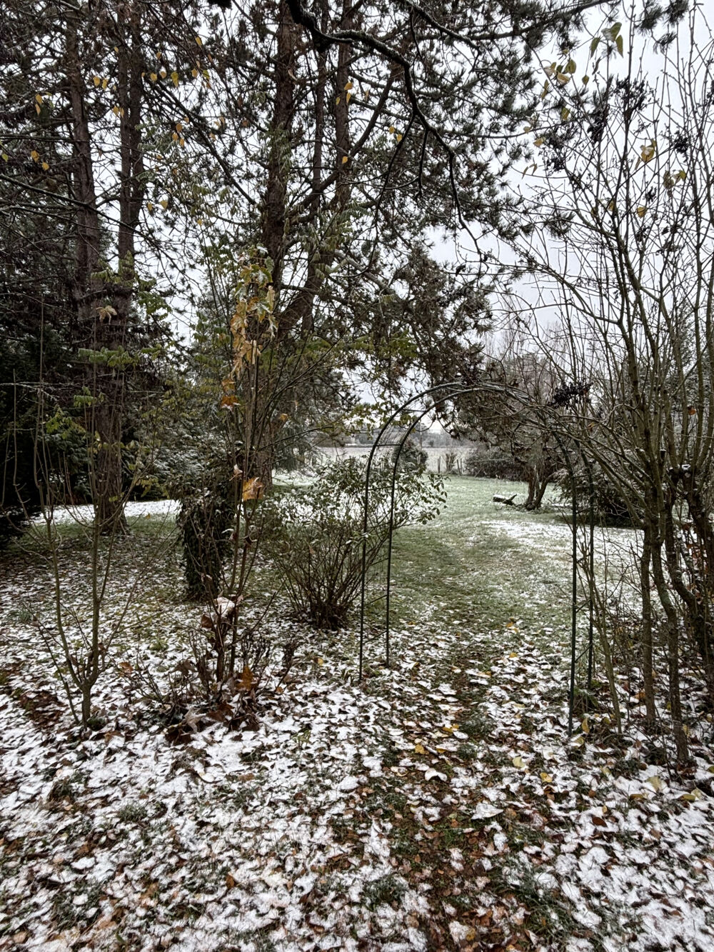  vendre  Maison Bonny-sur-Loire (45420)