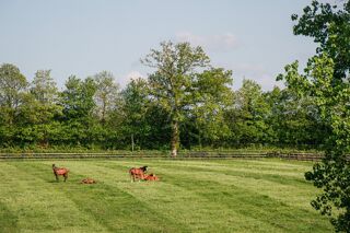  Maison � vendre 14 pi�ces 670 m�