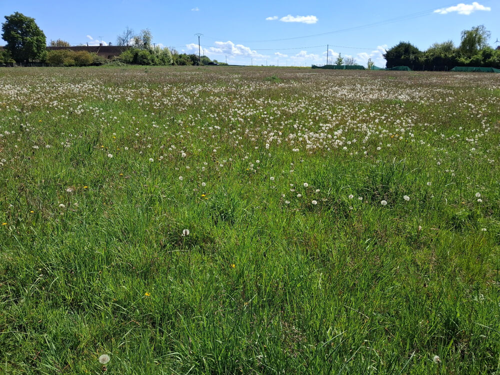 Vente Terrain Terrain Chantecoq