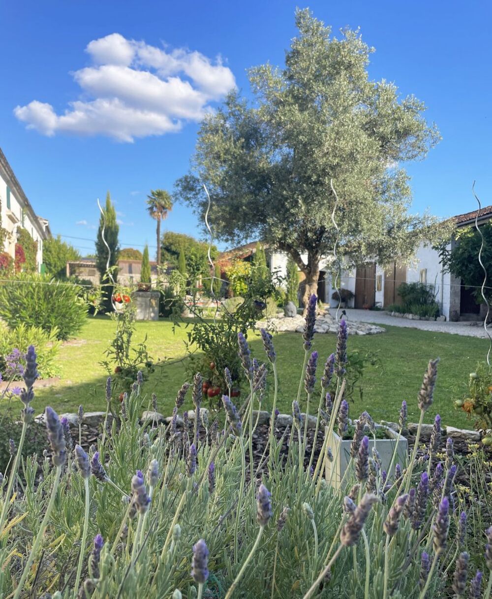 � vendre  Villa Cognac (16100)