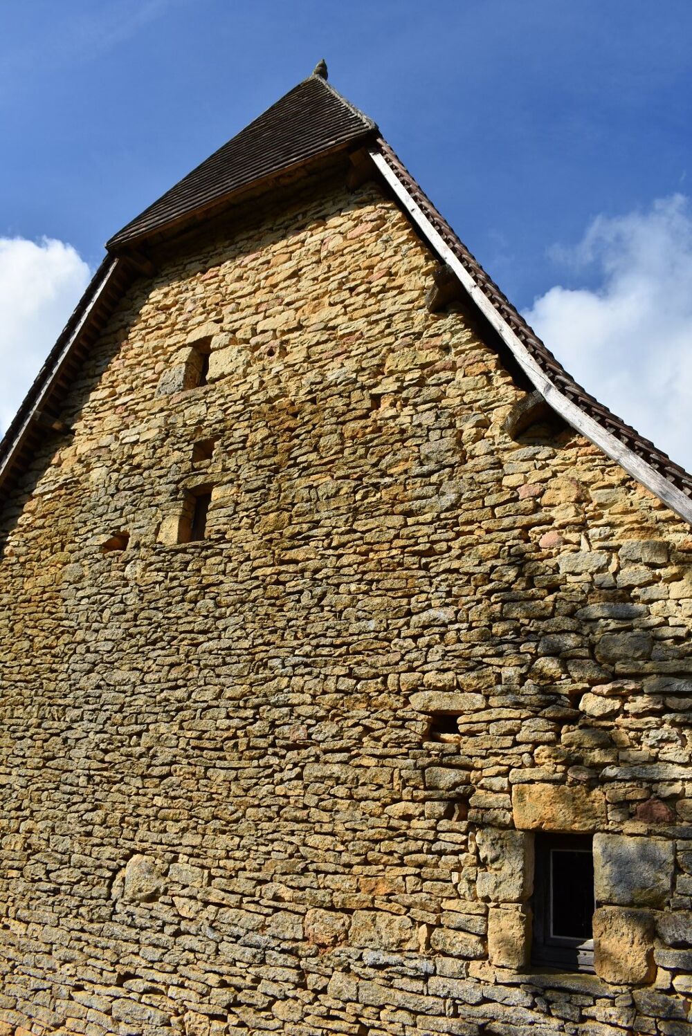 Vente Villa Propriété Montignac