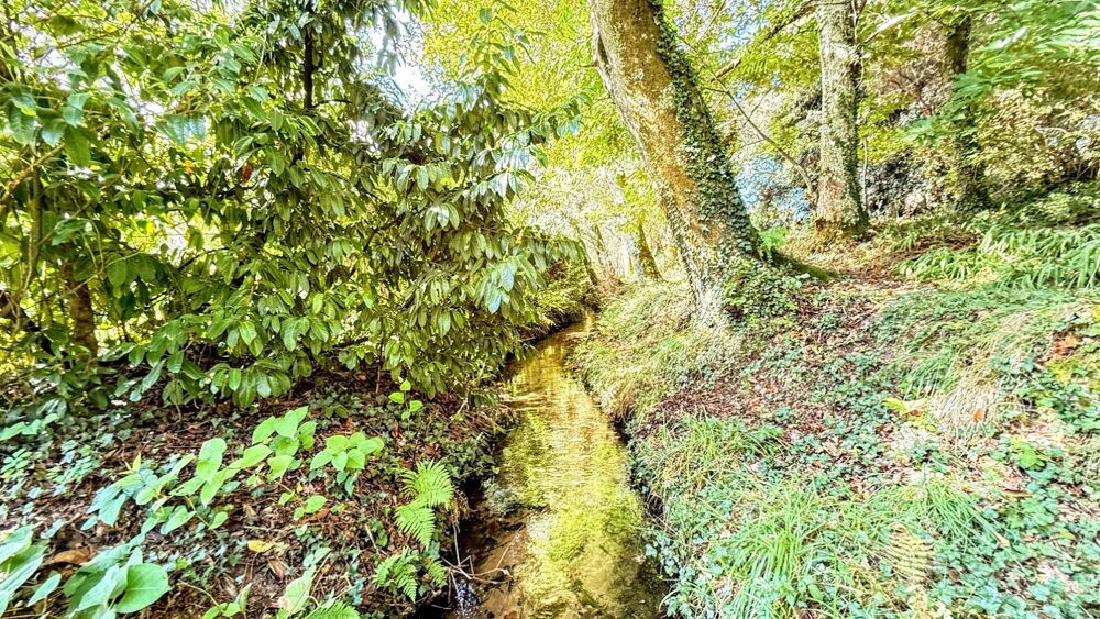  vendre  Villa Soorts-Hossegor (40150)