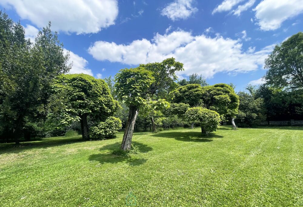 à vendre  Propriété/château Cherves-Richemont (16370)
