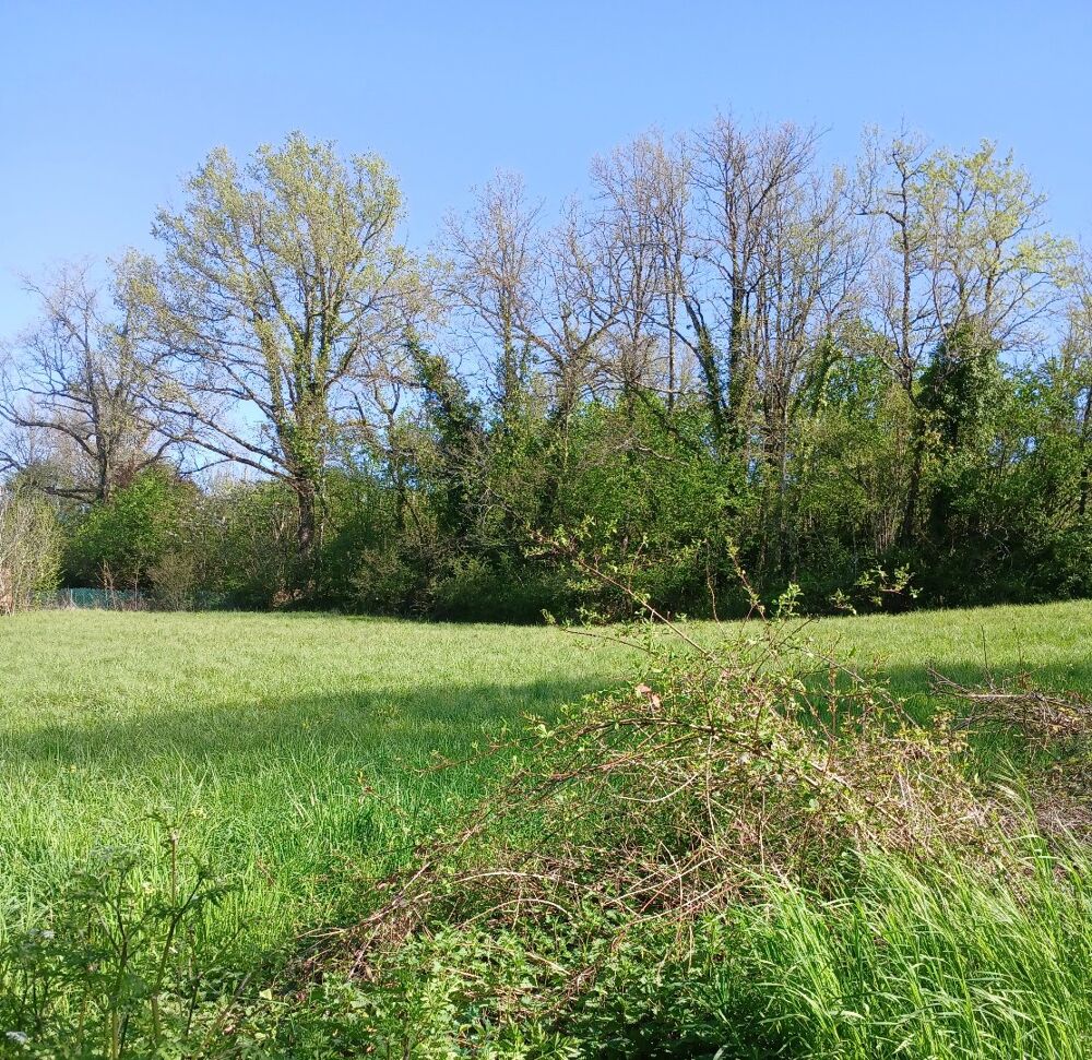 Vente Terrain Terrain constructible Riberac