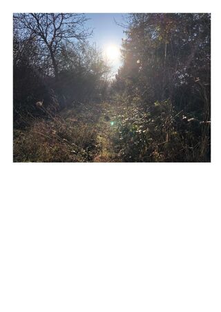  Terrain � vendre 500 m�