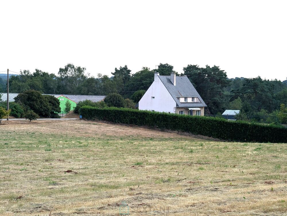 à vendre  Maison Languidic (56440)