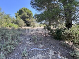  Terrain à vendre 8527 m²