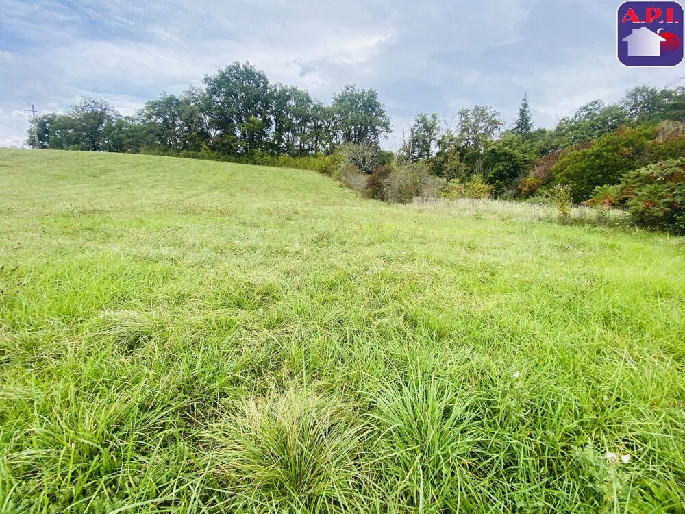 Vente Terrain Terrain Daumazan sur arize