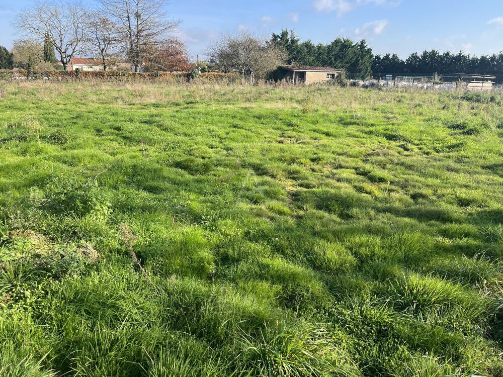 Vente Terrain Terrain constructible Les herbiers