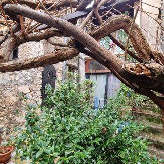  Maison � vendre 3 pi�ces 80 m�