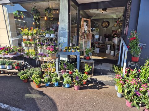 Fleuriste 79000 14730 Giberville