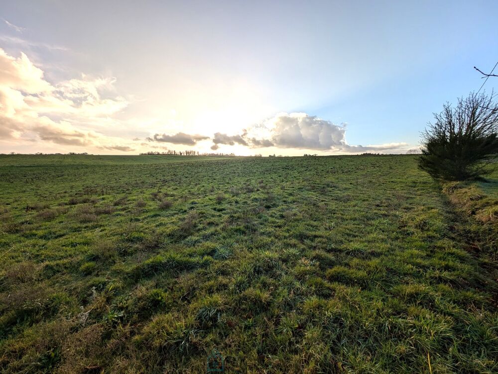 à vendre  Maison Languidic (56440)