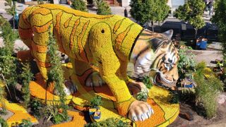  Appartement � vendre 2 pi�ces 50 m�