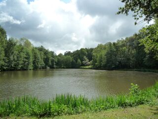  Terrain � vendre 41380 m�