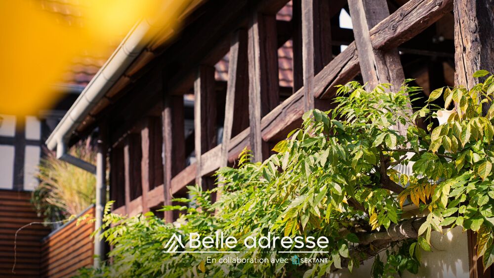 � vendre  Villa Niedernai (67210)