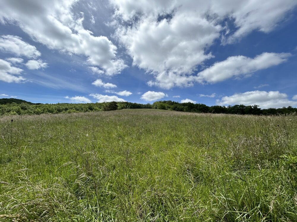 � vendre  Villa Escueillens-et-Saint-Just-de-B�lengard (11240)