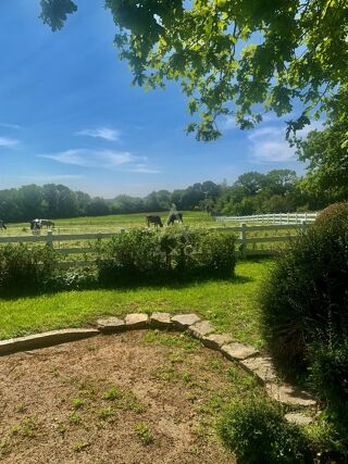  Maison � vendre 15 + pi�ces 440 m�