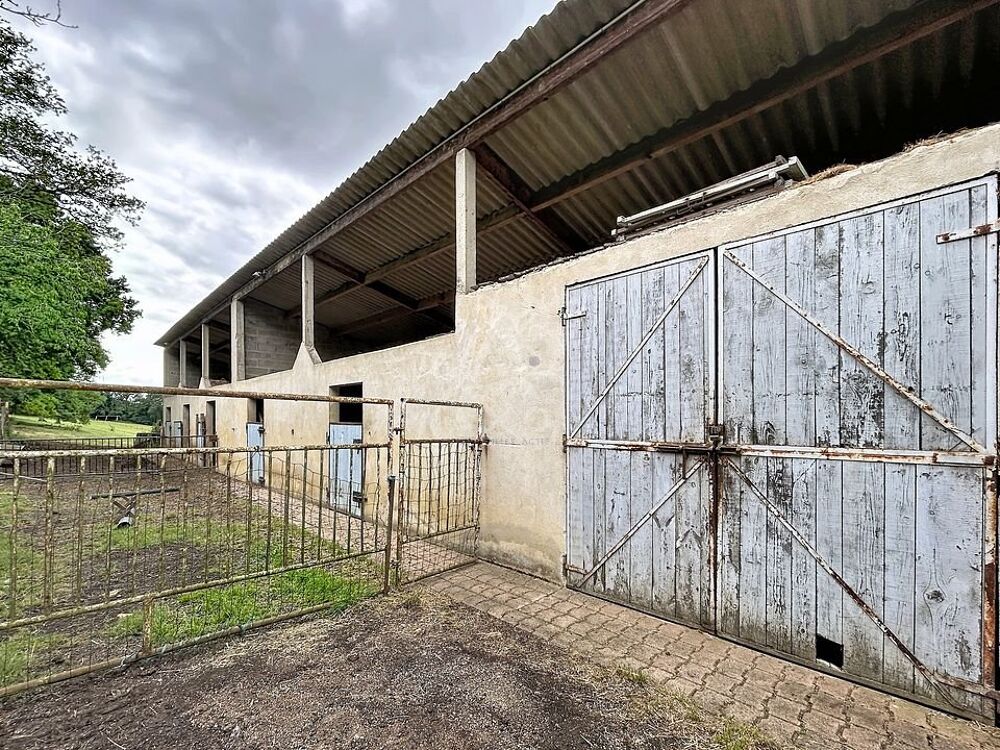 Vente Terrain Terrain agricole Saint jean pierre fixte