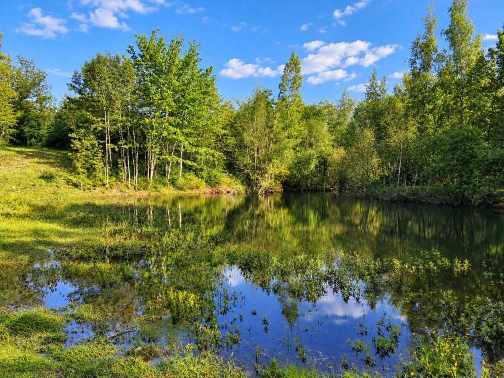Vente Terrain Terrain de loisir Conflans sur loing