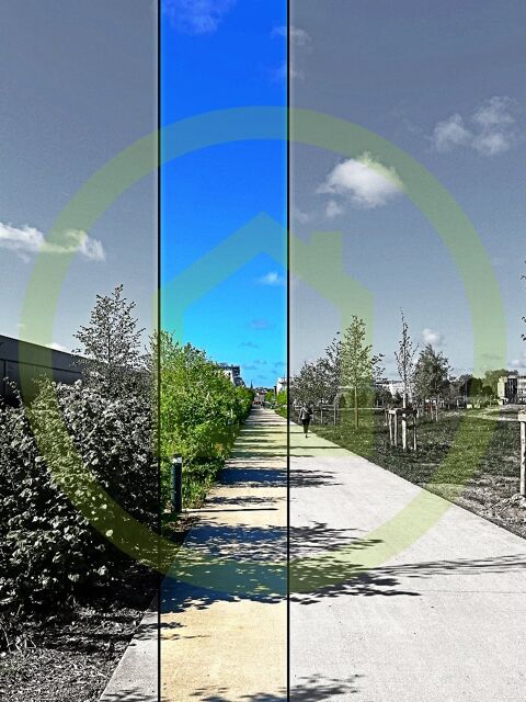 Bureau 567 49000 Angers