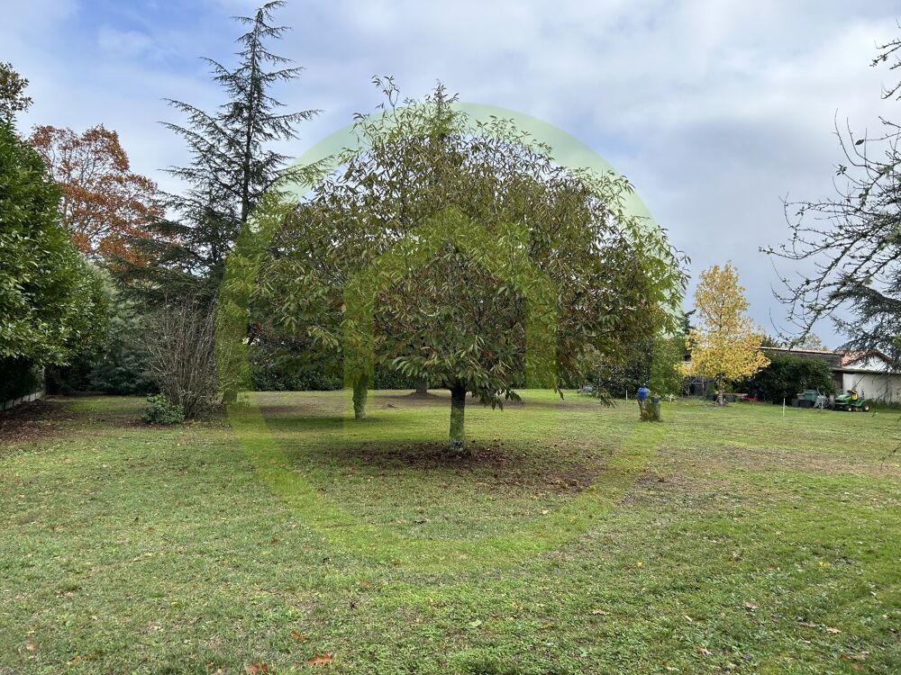 Vente Terrain Terrain Cestas