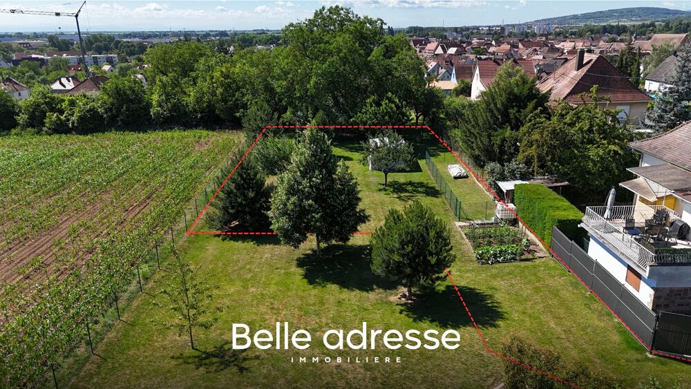 Vente Terrain Terrain Molsheim