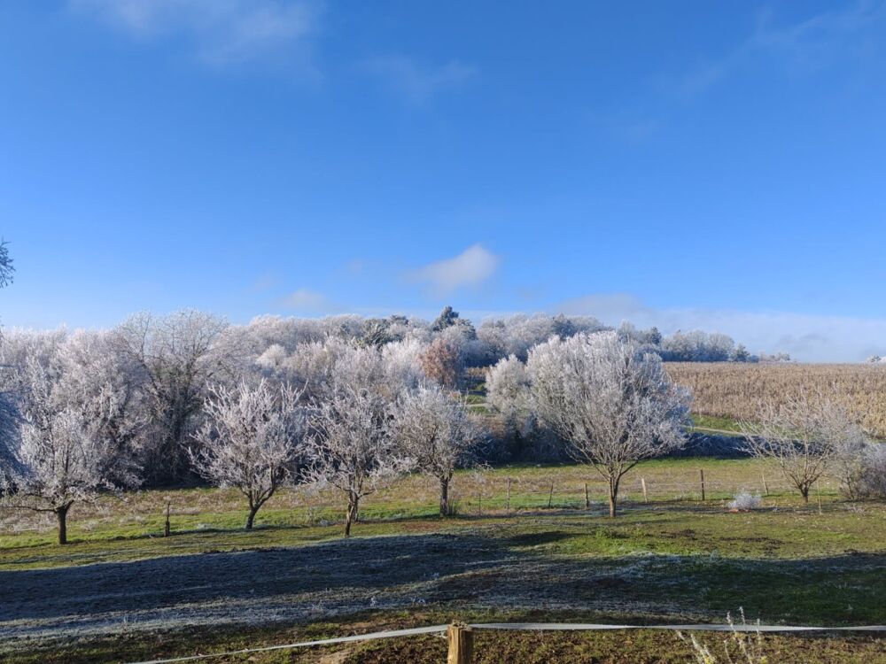 Vente Maison Maison Bossay sur claise