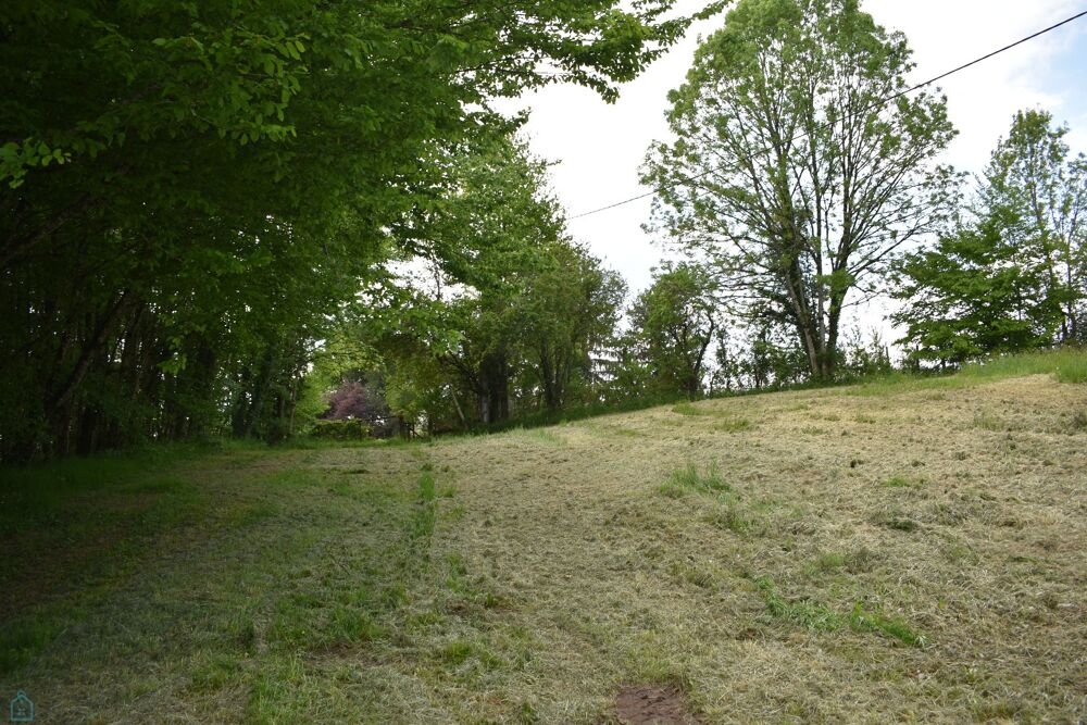 � vendre  Propri�t�/ch�teau Saint-Jory-de-Chalais (24800)