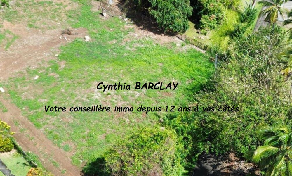 Vente Terrain Terrain Ducos