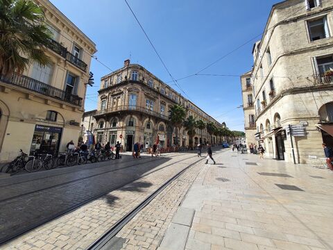 Murs commerciaux 241500 34000 Montpellier