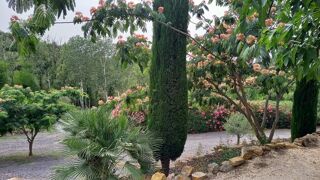  Maison � vendre 6 pi�ces 284 m�