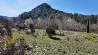  Maison � vendre 15 + pi�ces 530 m�