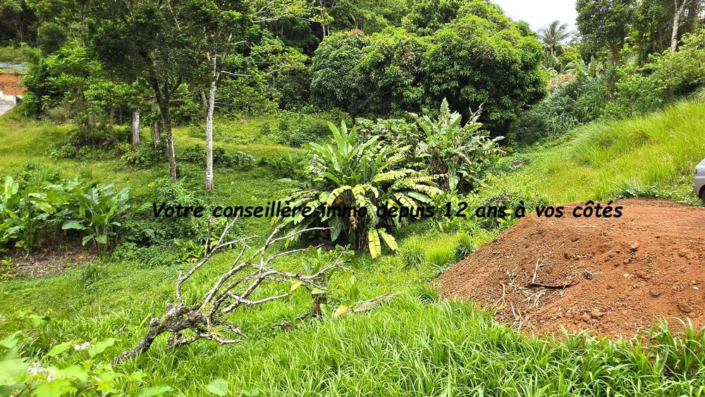 Vente Terrain Terrain constructible Sainte luce