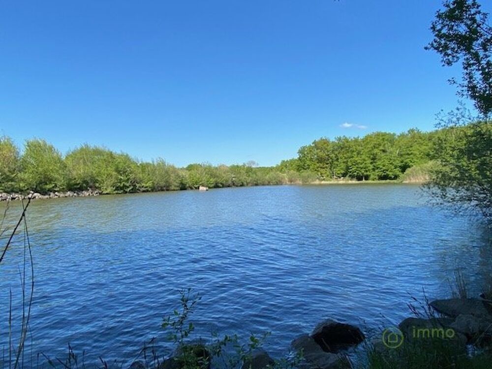 Vente Terrain Terrain boisé – forêt Saint hilaire les andresis