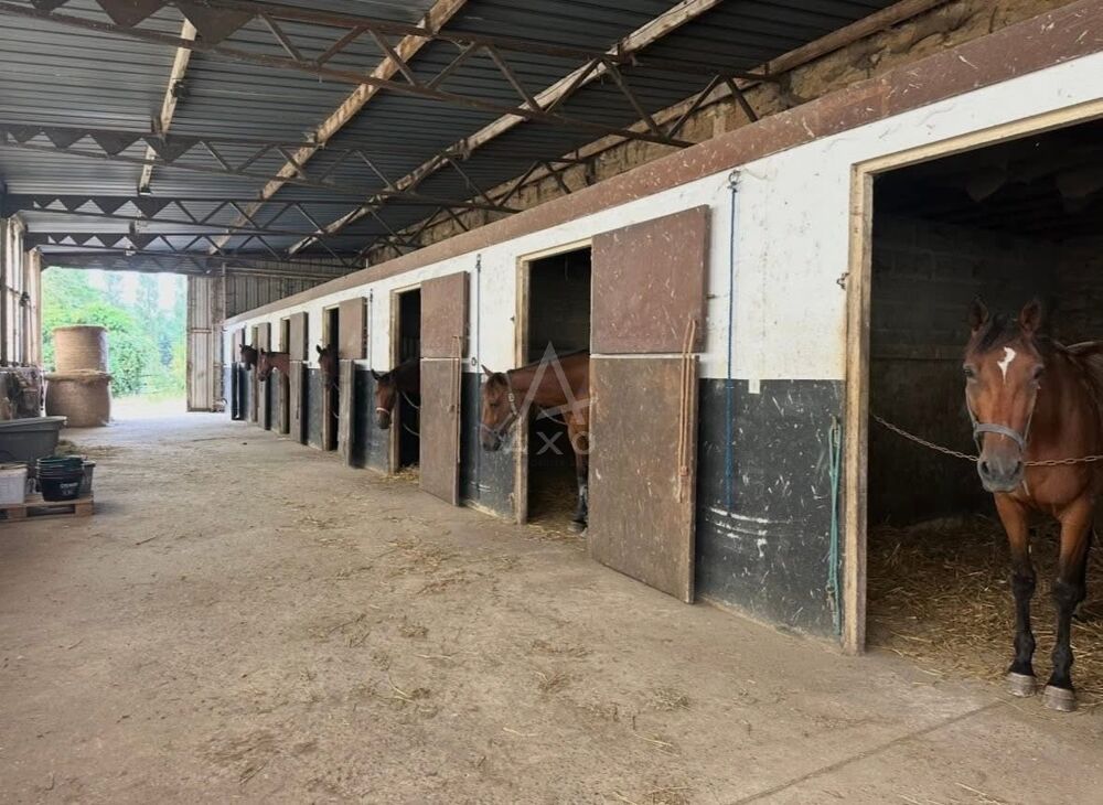 Vente Maison Haras / Equestre Caen