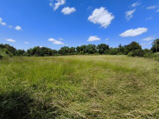  Terrain  vendre 6857 m